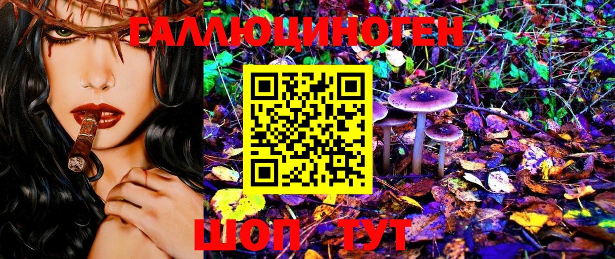 Галлюциногенные грибы Psilocybe  продажа наркотиков  Мытищи  Вход с VPN 